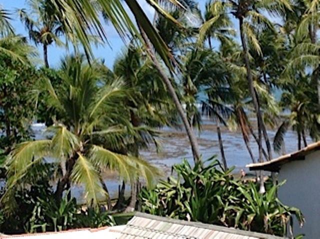 Residencial Enseada Praia Do Forte Apto 130 Leilighet Eksteriør bilde